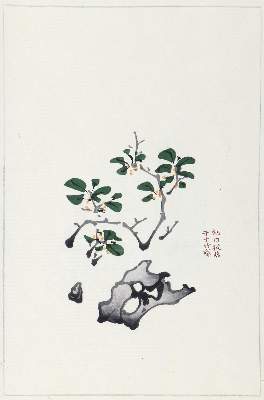 Bild Nr.2: 127-1602 Hu Chêng-yen.: (Asien, China)