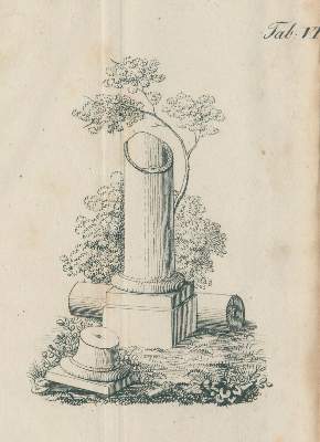 Bild Nr.2: 127-1649 Liebesleben,J. (Hrsg.).: (Deutschland, Düsseldorf)