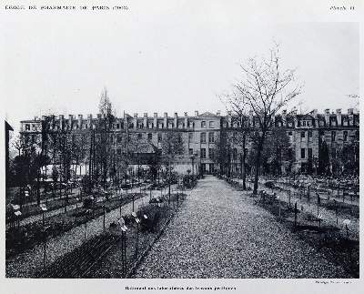 Bild Nr.3: 127-171 (Guignard,L.).: (Aus der Sammlung Professor Dr.Dr.Johannes Büttner Teil 1)