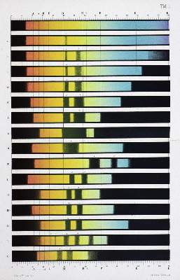 Bild Nr.2: 127-179 Hämatologie.: (Aus der Sammlung Professor Dr.Dr.Johannes Büttner Teil 1)