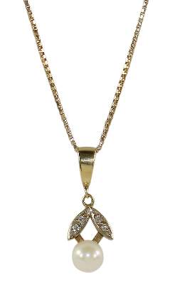 Bild Nr.1: 127-2133 Halskette: (Schmuck, Colliers)