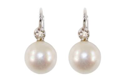 Bild Nr.1: 127-2154 Paar Perlohrringe: (Schmuck, Ohrringe)