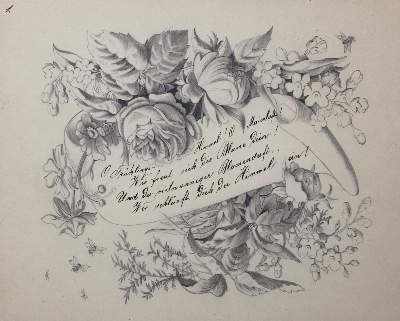 Bild Nr.1: 127-2359 Blumen.: (Varia, Botanik)