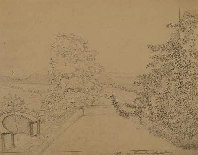 Bild Nr.9: 127-2366 Pflanzen.: (Varia, Botanik)