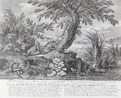 Bild Nr.1: 127-2396 Biber.: (Varia, Jagd, Ridinger)