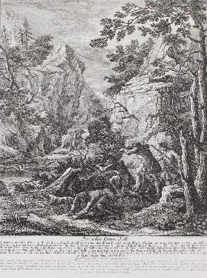Bild Nr.1: 127-2398 Entenjagd.: (Varia, Jagd, Ridinger)