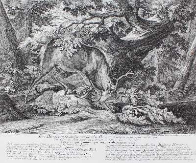Bild Nr.1: 127-2417 Hirsch.: (Varia, Jagd, Ridinger)