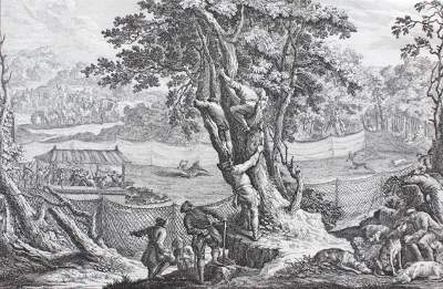 Bild Nr.1: 127-2425 Hirschjagd.: (Varia, Jagd, Ridinger)