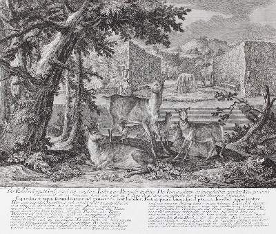 Bild Nr.1: 127-2438 Rotwild.: (Varia, Jagd, Ridinger)