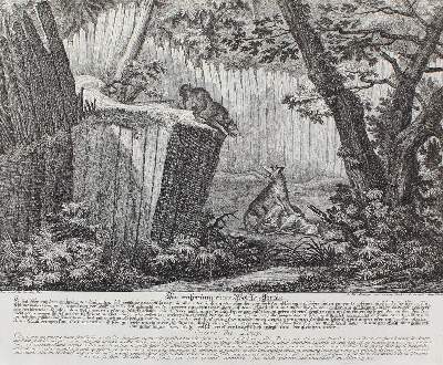 Bild Nr.1: 127-2462 Wölfe.: (Varia, Jagd, Ridinger)