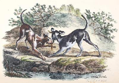 Bild Nr.4: 127-2487 Delpech, Francois-Séraphin: (Varia, Kynologie)