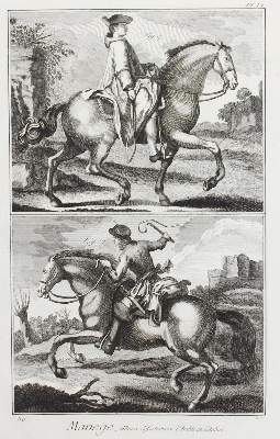 Bild Nr.1: 127-2516 Diepenbeeck: (Varia, Pferde, Reitschule)