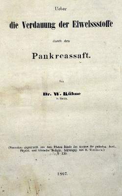 Bild Nr.1: 127-254 Kühne,W.: (Aus der Sammlung Professor Dr.Dr.Johannes Büttner Teil 1)
