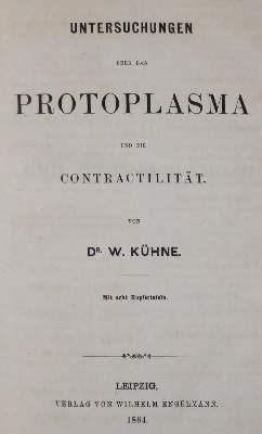 Bild Nr.1: 127-255 Kühne,W.: (Aus der Sammlung Professor Dr.Dr.Johannes Büttner Teil 1)