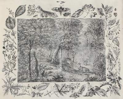 Bild Nr.1: 127-2574 Anschauungsbilder.: (Varia, Zoologie)