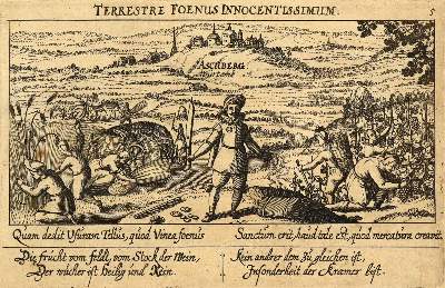 Bild Nr.1: 127-2585 Asperg.: (Deutschland)