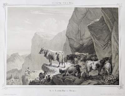 Bild Nr.1: 127-2607 Benediktenwand.: (Deutschland)