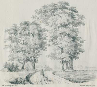 Bild Nr.1: 127-2613 Boll.: (Deutschland, Boll/Göppingen)