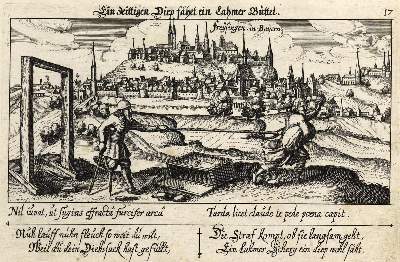 Bild Nr.1: 127-2668 Freising.: (Deutschland)