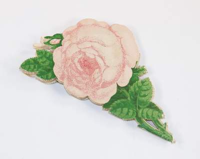 Bild Nr.2: 127-2818 Rhein Rose.: (Deutschland, Rheinlande)