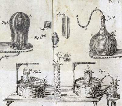 Bild Nr.2: 127-30 Bergman,T.: (Aus der Sammlung Professor Dr.Dr.Johannes Büttner Teil 1)