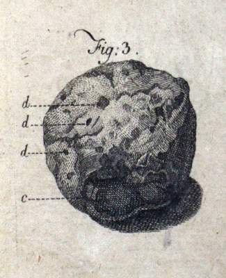 Bild Nr.2: 127-313 Marcard,H.M.: (Aus der Sammlung Professor Dr.Dr.Johannes Büttner Teil 1)