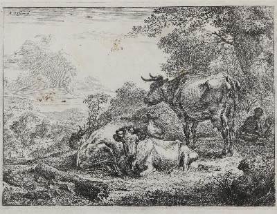 Bild Nr.1: 127-3254 Berchem, Nicolaes: (Künstlergraphik)