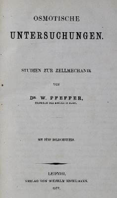 Bild Nr.1: 127-364 Pfeffer,W.: (Aus der Sammlung Professor Dr.Dr.Johannes Büttner Teil 1)