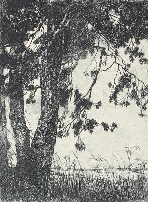 Bild Nr.1: 127-3651 Kirchbaum, W.: (Künstlergraphik)