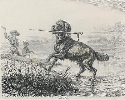 Bild Nr.1: 127-3668 Klein, Johann Adam: (Künstlergraphik)