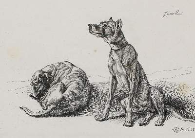 Bild Nr.1: 127-3674 Klein, Johann Adam: (Künstlergraphik)