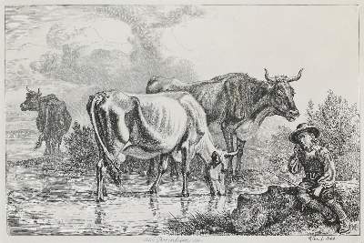 Bild Nr.1: 127-3676 Klein, Johann Adam: (Künstlergraphik)