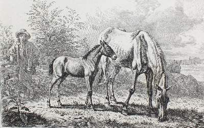 Bild Nr.1: 127-3689 Klein, Johann Adam: (Künstlergraphik)