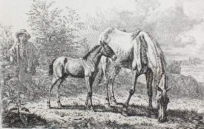 Bild Nr.11: 127-3689 Klein, Johann Adam: (Künstlergraphik)