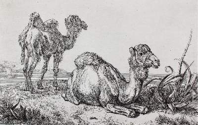 Bild Nr.21: 127-3689 Klein, Johann Adam: (Künstlergraphik)