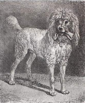 Bild Nr.22: 127-3689 Klein, Johann Adam: (Künstlergraphik)