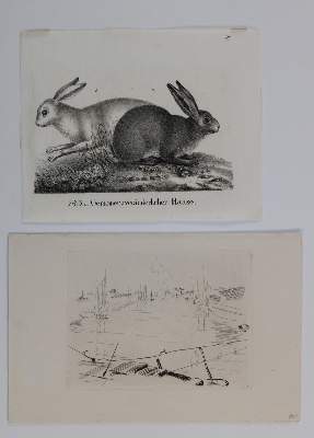 Bild Nr.4: 127-3726 Konvolut: (Künstlergraphik)