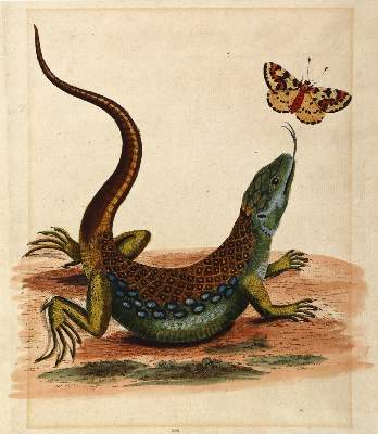 Bild Nr.6: 127-3741 Konvolut: (Künstlergraphik)