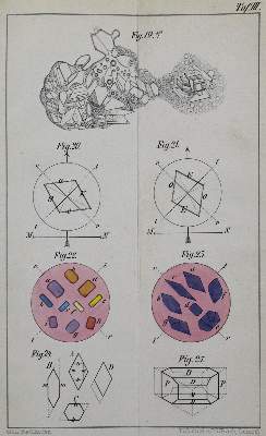 Bild Nr.4: 127-382 Radlkofer,L.: (Aus der Sammlung Professor Dr.Dr.Johannes Büttner Teil 1)