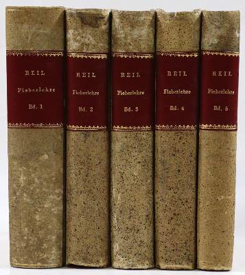 Bild Nr.2: 127-387 Reil,J.C.: (Aus der Sammlung Professor Dr.Dr.Johannes Büttner Teil 1)