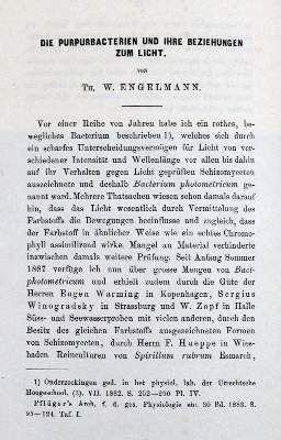 Bild Nr.5: 127-401 Sammlung: (Aus der Sammlung Professor Dr.Dr.Johannes Büttner Teil 1)