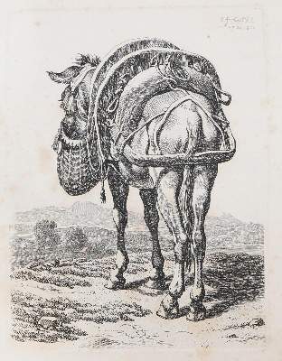 Bild Nr.1: 127-4019 Reinhart, Johann Christian: (Künstlergraphik)