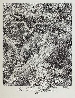 Bild Nr.1: 127-4038 Ridinger, Johann Elias: (Künstlergraphik)