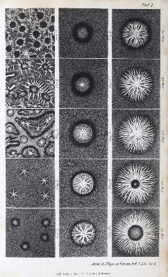 Bild Nr.1: 127-41 Bezold,W.v.: (Aus der Sammlung Professor Dr.Dr.Johannes Büttner Teil 1)