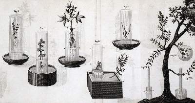 Bild Nr.1: 127-426 Saussure,N.T.de.: (Aus der Sammlung Professor Dr.Dr.Johannes Büttner Teil 1)