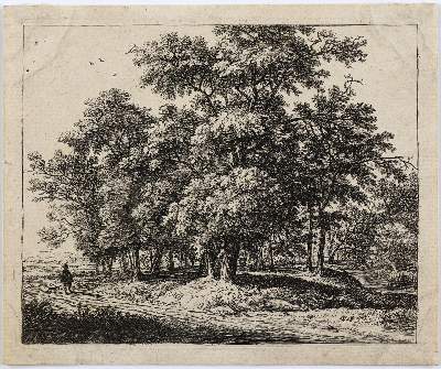 Bild Nr.1: 127-4329 Waterloo, Anthonie: (Künstlergraphik)