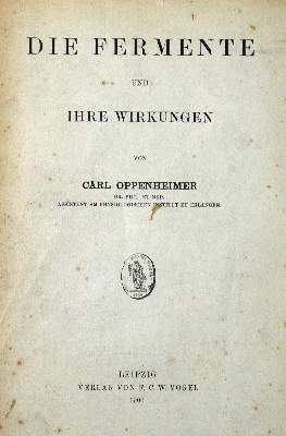 Bild Nr.2: 127-437 Schützenberger,P.: (Aus der Sammlung Professor Dr.Dr.Johannes Büttner Teil 1)