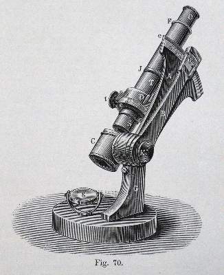 Bild Nr.3: 127-473 Traube,I.: (Aus der Sammlung Professor Dr.Dr.Johannes Büttner Teil 1)