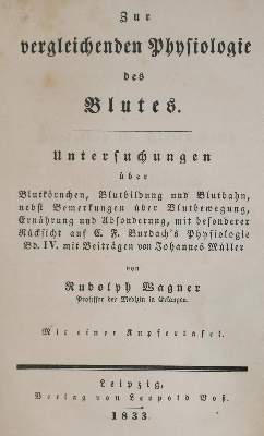 Bild Nr.1: 127-495 Wagner,R.: (Aus der Sammlung Professor Dr.Dr.Johannes Büttner Teil 1)
