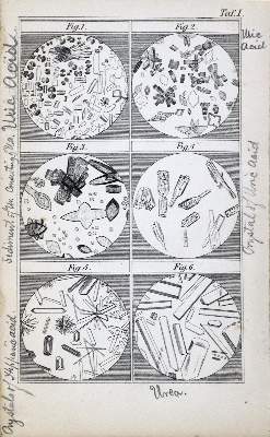 Bild Nr.4: 127-500 Whewell,W.: (Aus der Sammlung Professor Dr.Dr.Johannes Büttner Teil 1)